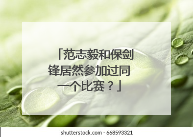 范志毅和保剑锋居然参加过同一个比赛？