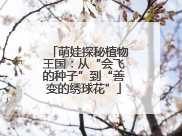 萌娃探秘植物王国：从“会飞的种子”到“善变的绣球花”