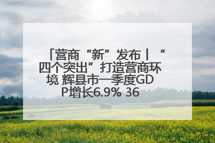 营商“新”发布丨“四个突出”打造营商环境 辉县市一季度GDP增长6.9% 36个重点项目落地