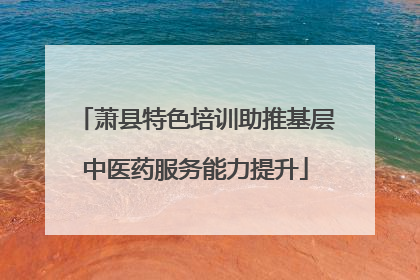 萧县特色培训助推基层中医药服务能力提升