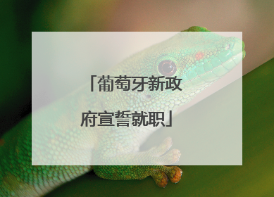 葡萄牙新政府宣誓就职