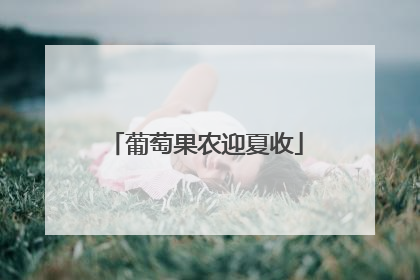 葡萄果农迎夏收