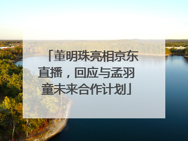 董明珠亮相京东直播，回应与孟羽童未来合作计划