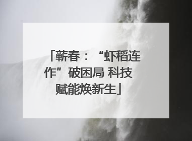 蕲春：“虾稻连作”破困局 科技赋能焕新生