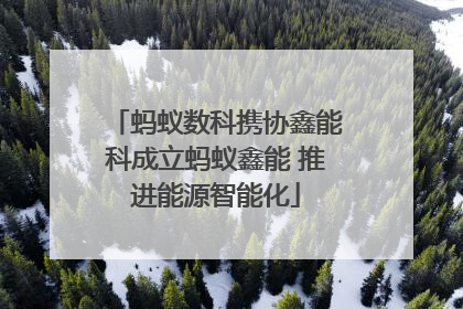 蚂蚁数科携协鑫能科成立蚂蚁鑫能 推进能源智能化