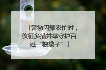 警徽闪耀农忙时，仪征多措并举守护百姓“粮袋子”
