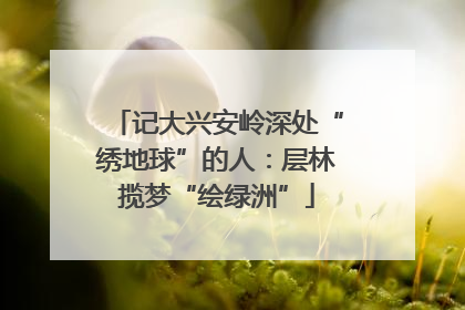 记大兴安岭深处“绣地球”的人：层林揽梦“绘绿洲”
