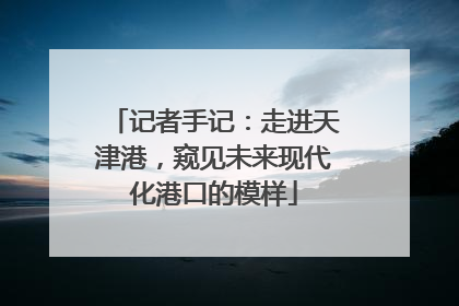 记者手记：走进天津港，窥见未来现代化港口的模样