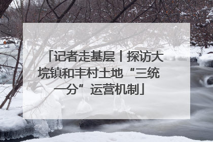 记者走基层丨探访大垸镇和丰村土地“三统一分”运营机制
