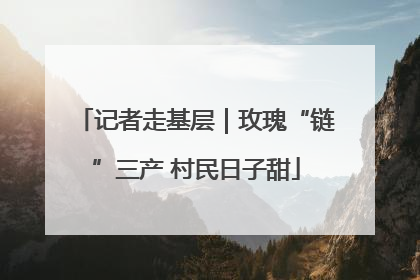 记者走基层｜玫瑰“链”三产 村民日子甜