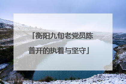 衡阳九旬老党员陈普开的执着与坚守