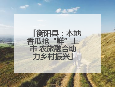 衡阳县：本地香瓜抢“鲜”上市 农旅融合助力乡村振兴