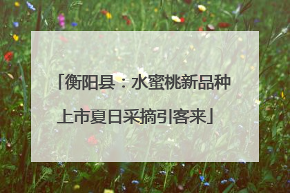 衡阳县：水蜜桃新品种上市夏日采摘引客来