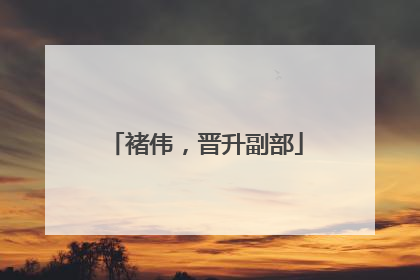 褚伟，晋升副部