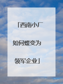 西南小厂如何蝶变为领军企业