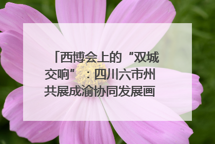 西博会上的“双城交响”：四川六市州共展成渝协同发展画卷｜西博视界