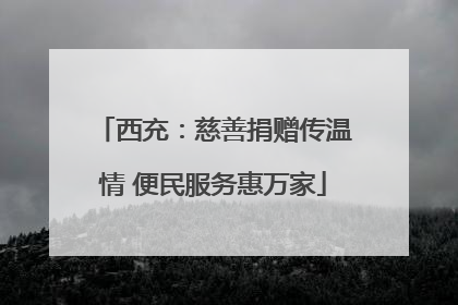 西充：慈善捐赠传温情 便民服务惠万家