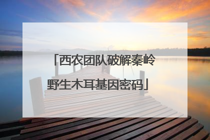 西农团队破解秦岭野生木耳基因密码