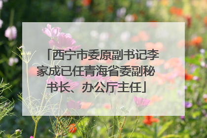 西宁市委原副书记李家成已任青海省委副秘书长、办公厅主任