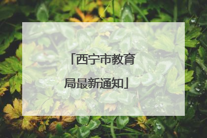 西宁市教育局最新通知