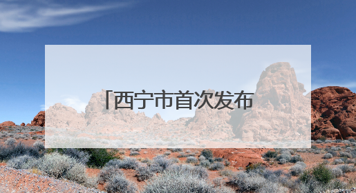 西宁市首次发布氧环境监测公报