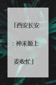 西安长安：神禾塬上麦收忙