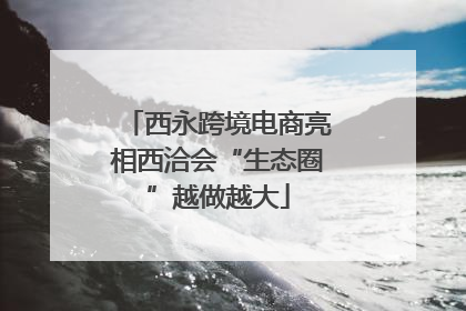 西永跨境电商亮相西洽会“生态圈”越做越大
