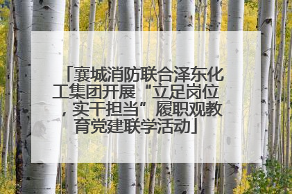 襄城消防联合泽东化工集团开展“立足岗位，实干担当”履职观教育党建联学活动