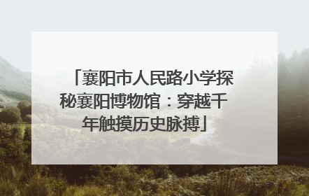 襄阳市人民路小学探秘襄阳博物馆：穿越千年触摸历史脉搏