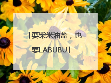 要柴米油盐，也要LABUBU