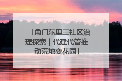 角门东里三社区治理探索｜代建代管推动荒地变花园