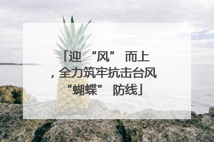 迎 “风” 而上，全力筑牢抗击台风 “蝴蝶” 防线