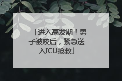 进入高发期！男子被咬后，紧急送入ICU抢救