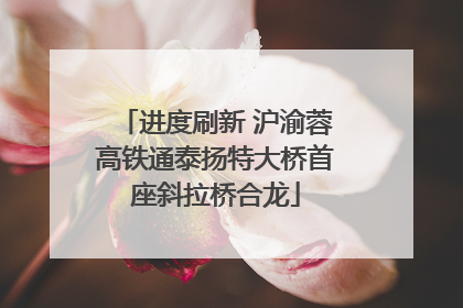 进度刷新 沪渝蓉高铁通泰扬特大桥首座斜拉桥合龙