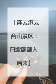 连云港云台山景区：白鹭翩翩入画来