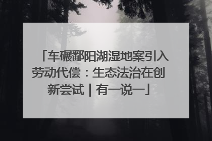 车碾鄱阳湖湿地案引入劳动代偿：生态法治在创新尝试｜有一说一