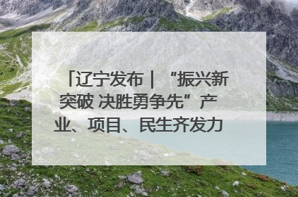 辽宁发布｜“振兴新突破 决胜勇争先”产业、项目、民生齐发力 葫芦岛按下决胜之年“加速键”