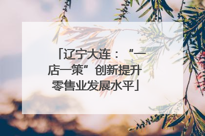 辽宁大连：“一店一策”创新提升零售业发展水平