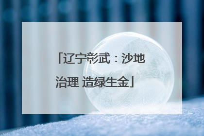 辽宁彰武：沙地治理 造绿生金