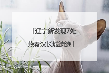 辽宁新发现7处燕秦汉长城遗迹