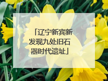 辽宁新宾新发现九处旧石器时代遗址