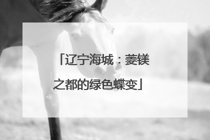 辽宁海城：菱镁之都的绿色蝶变