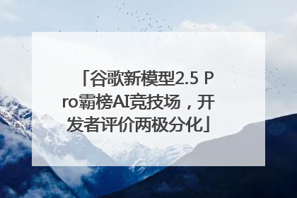 谷歌新模型2.5 Pro霸榜AI竞技场，开发者评价两极分化