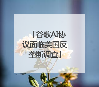 谷歌AI协议面临美国反垄断调查