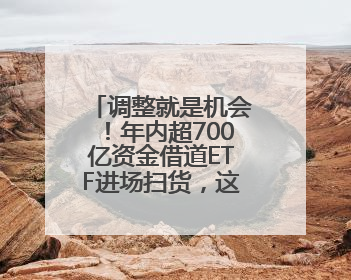 调整就是机会！年内超700亿资金借道ETF进场扫货，这些板块最被看好（附名单）