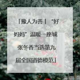 豫人为善丨“好妈妈”温暖一座城 张冬香当选第九届全国道德模范