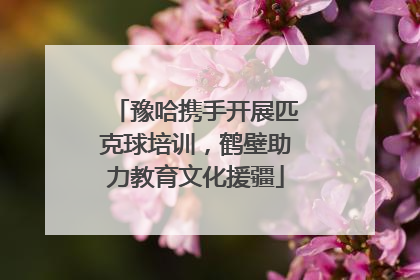 豫哈携手开展匹克球培训，鹤壁助力教育文化援疆