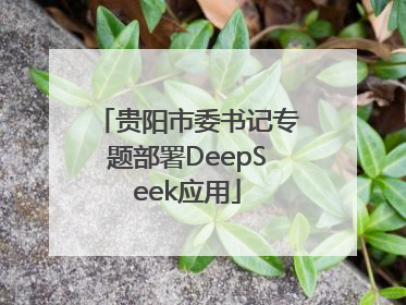 贵阳市委书记专题部署DeepSeek应用