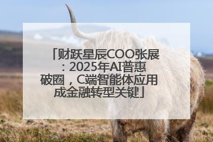 财跃星辰COO张展：2025年AI普惠破圈，C端智能体应用成金融转型关键