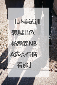 赴美试训表现出色 杨瀚森NBA选秀行情看涨